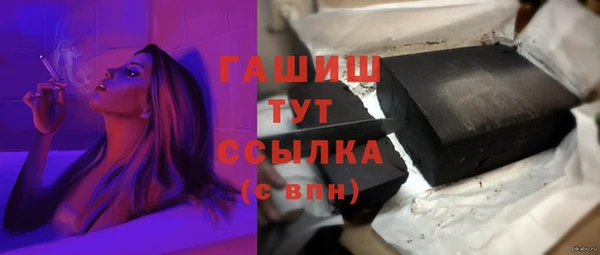 индика Переславль-Залесский